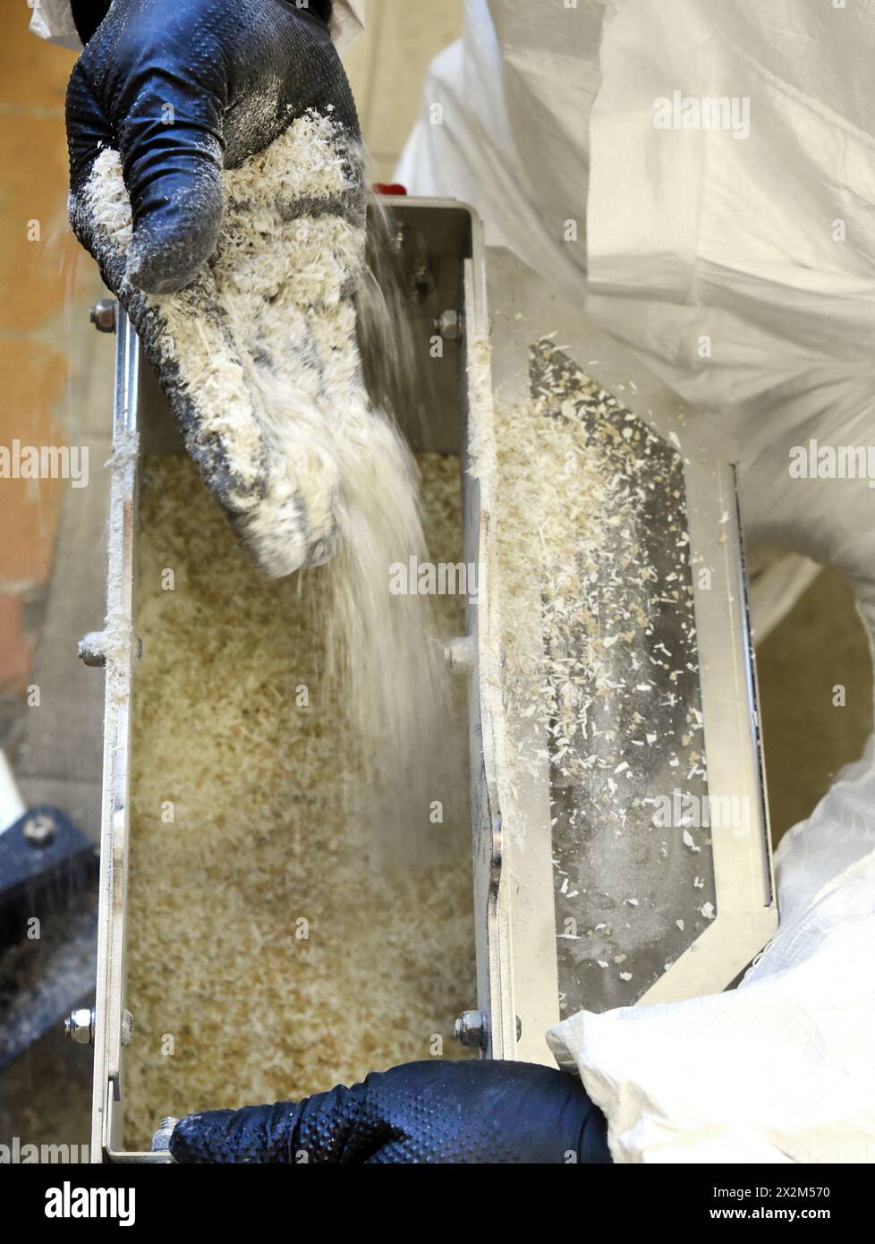 12 aprile 2024, Sassonia, Lipsia: Nel centro tecnico del campus dell’Università di scienze applicate (HTWK), l'assistente alla ricerca Philipp Johst del team guidato da HTWK Professor of Lightweight Construction with Composite Materials Robert Böhm tiene in mano il materiale triturato di una parte di una pala del rotore di una turbina eolica smontata di 25 anni fa per un test. I test fanno parte di EuReCOMP, un progetto di ricerca collaborativa finanziato dall'UE che mira a sviluppare metodi sostenibili per il riciclaggio e il riutilizzo di materiali compositi provenienti da componenti dell'energia eolica. Scienziati di college, università e Foto Stock