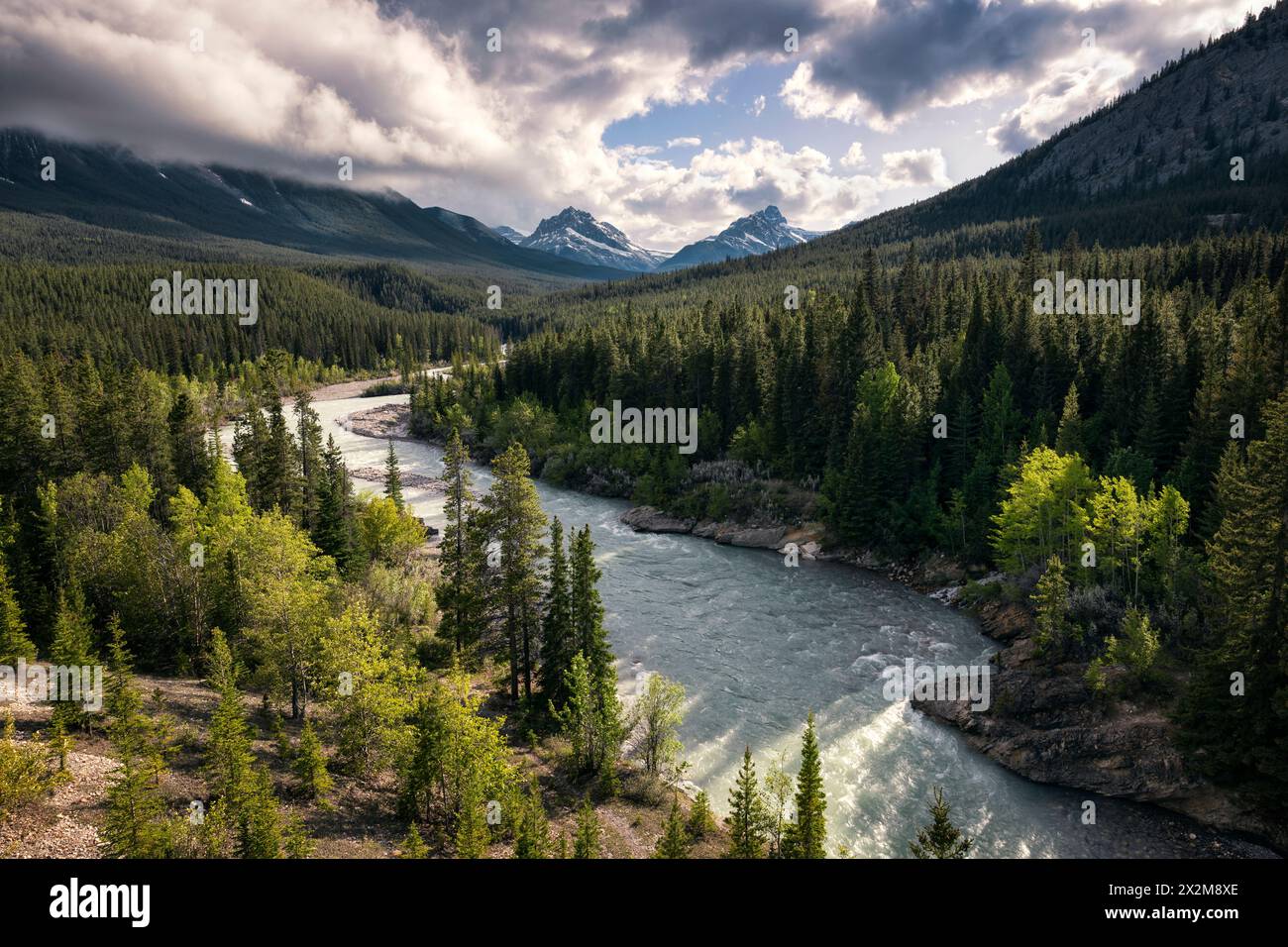Geografia / viaggi, Canada, Montagne Rocciose canadesi, natura selvaggia canadese, ULTERIORI-DIRITTI-AUTORIZZAZIONE-INFO-NON-DISPONIBILE Foto Stock
