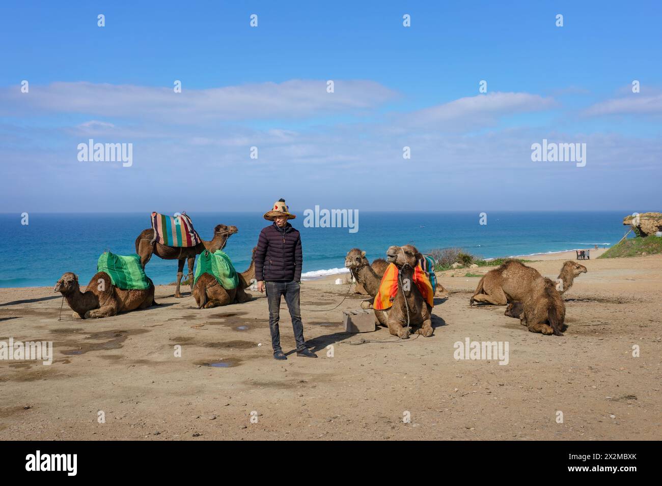 Tangeri, Marocco. 6 febbraio 2024. Guida turistica in cammello con un gruppo di cammelli su una spiaggia. Foto Stock