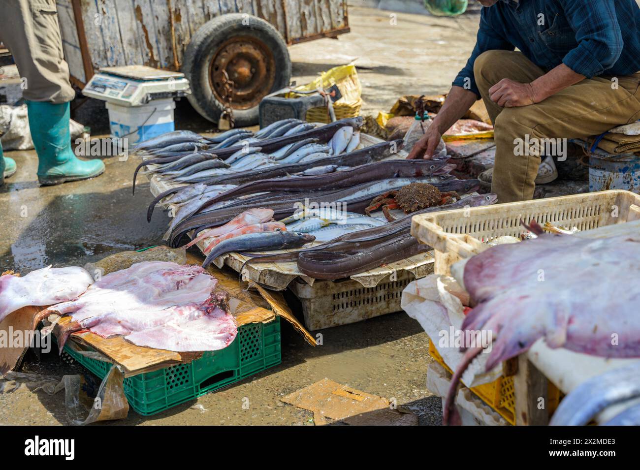 Un vivace mercato del pesce marocchino con una varietà di pesce fresco preparato in vendita, mentre venditori irriconoscibili e ritagliati interagiscono con i clienti in mezzo a loro Foto Stock