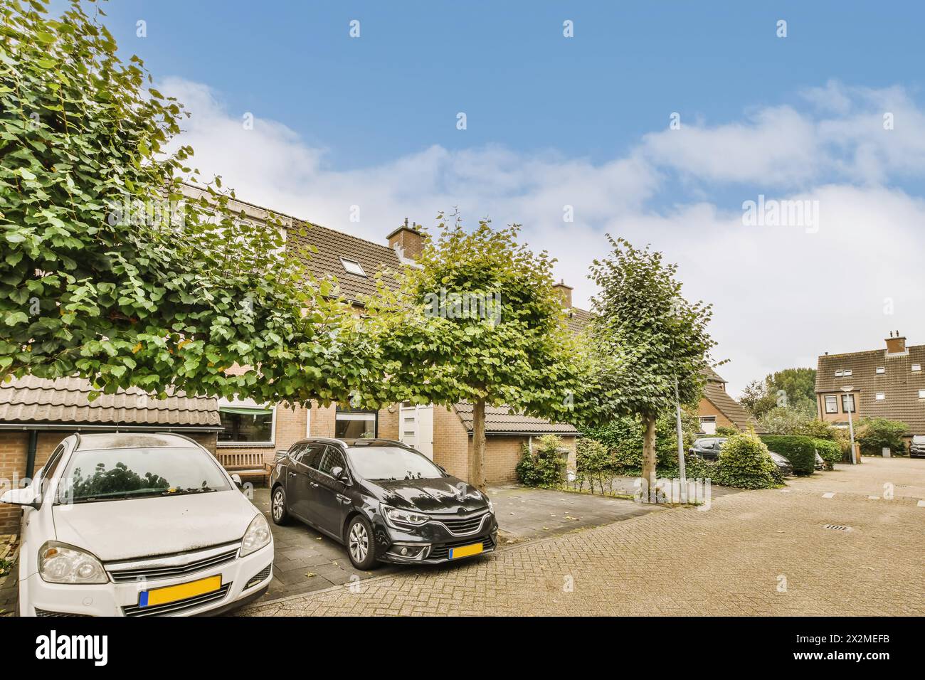 Tranquilla strada suburbana con auto parcheggiate e case a file circondate da lussureggianti alberi verdi sotto un cielo blu. Foto Stock