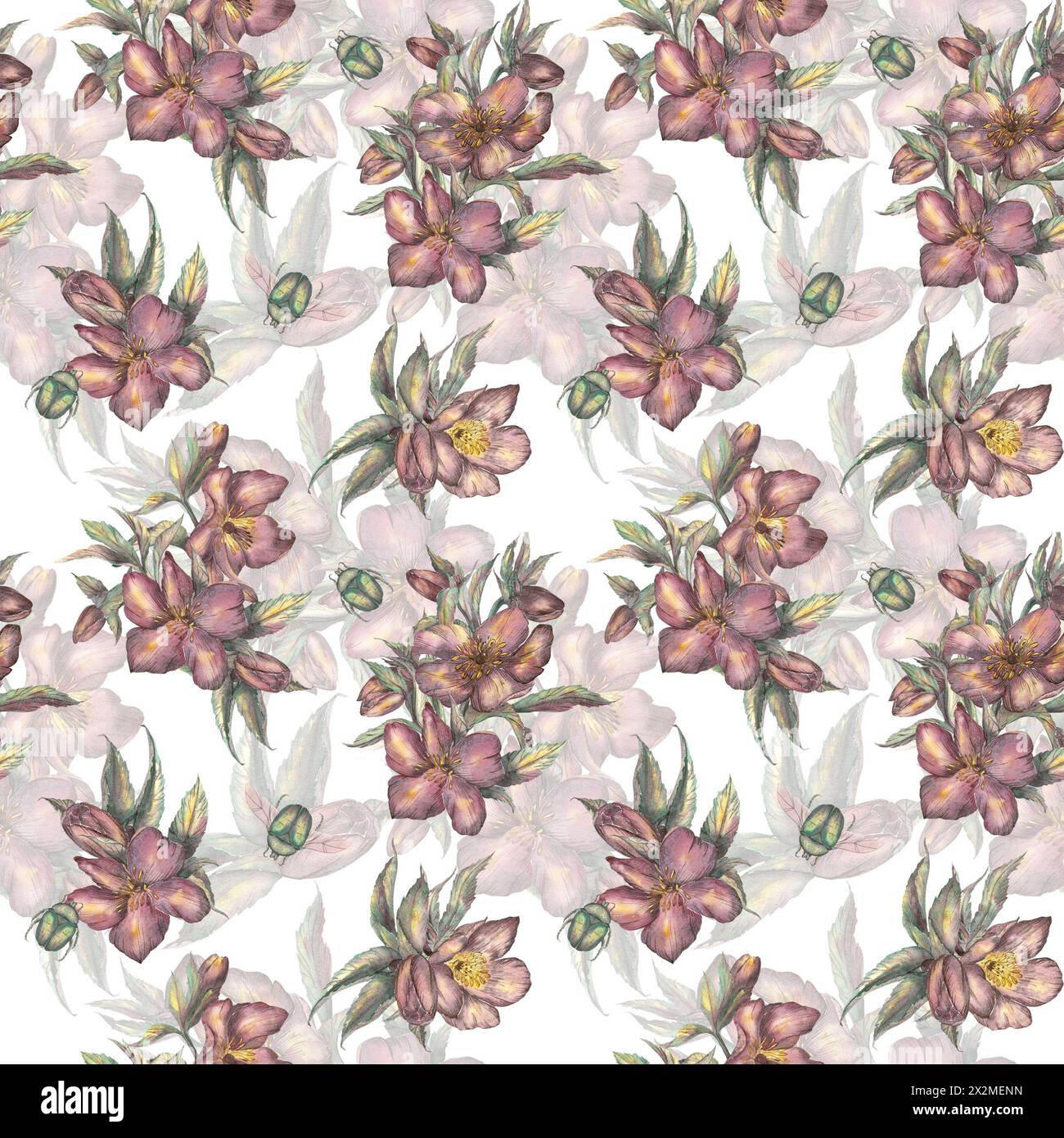Motivo senza cuciture di fiori primaverili realizzati in acquerello su sfondo bianco. Hellebore, rosa invernale. Clipart. Un'illustrazione botanica disegnata a mano in r Foto Stock
