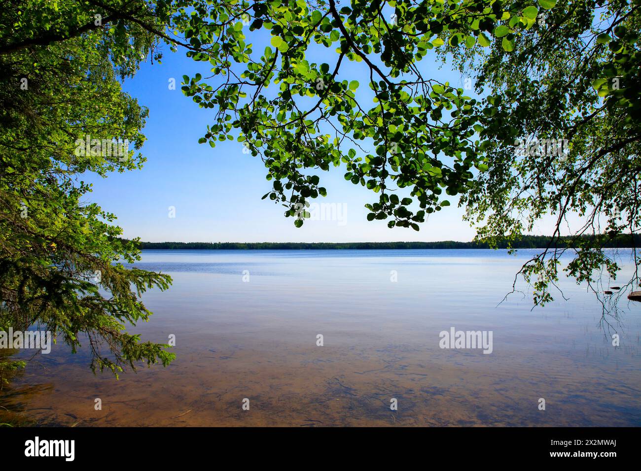 Vista sul lago Vahermanjärvi, Nummi-Pusula, Finlandia, con fogliame e cielo blu nella soleggiata vigilia di mezza estate 2023. Foto Stock