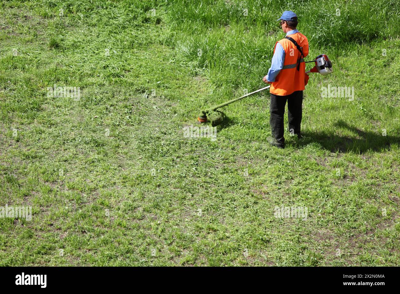 Rasaerba uomo con trinciatore che muove l'erba nelle soleggiate giornate estive. Foto Stock