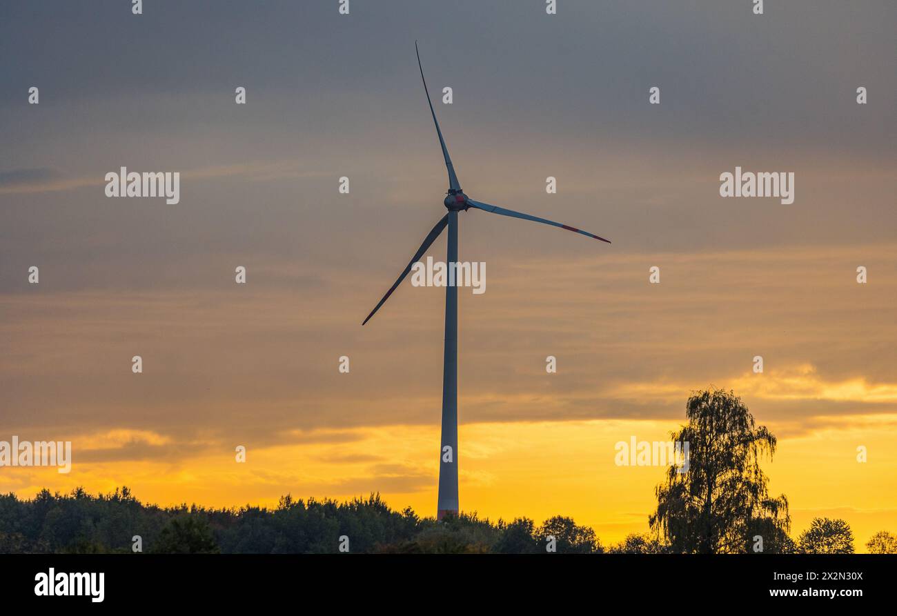 Eine Windkraftanlage im herbstlichen Sonnenuntergang. (Hebertshausen, Deutschland, 10.10.2022) Foto Stock