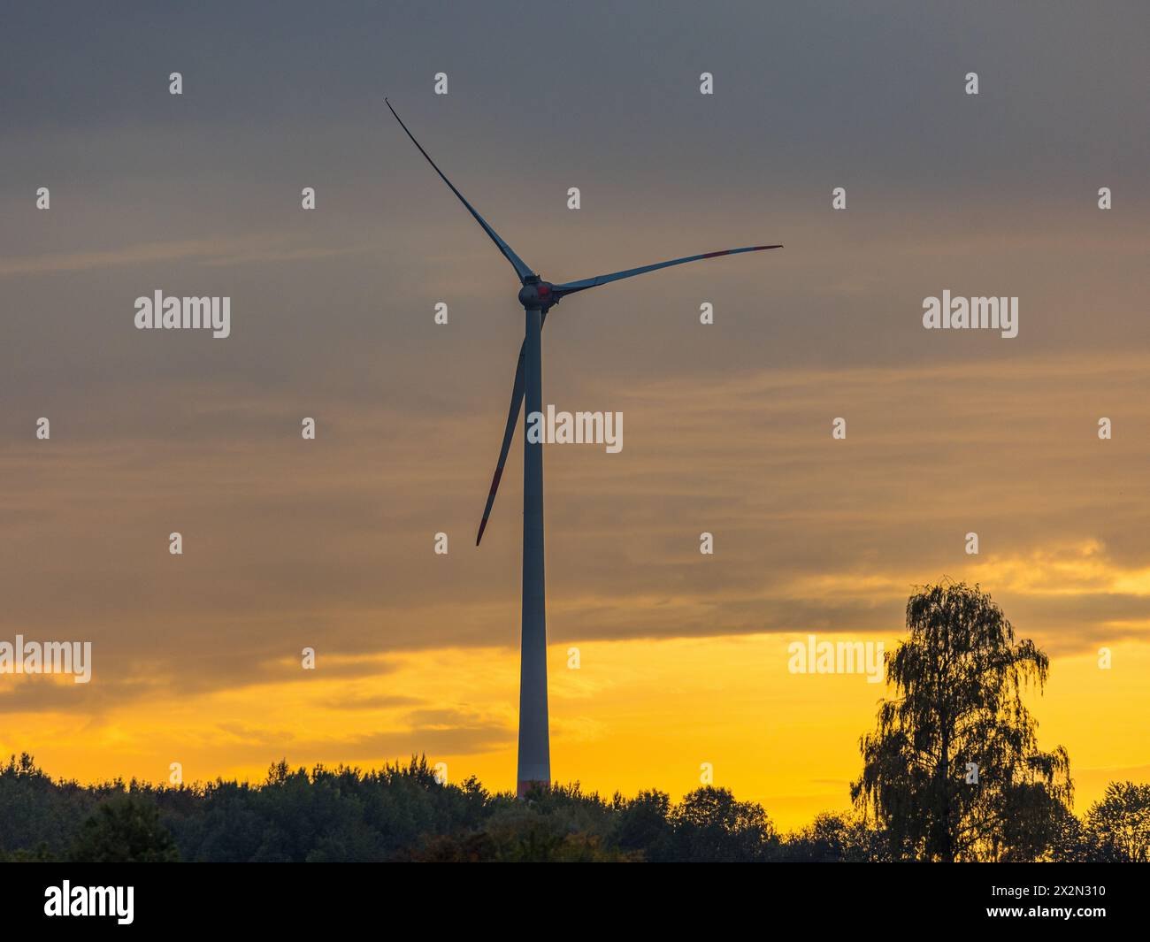 Eine Windkraftanlage im herbstlichen Sonnenuntergang. (Hebertshausen, Deutschland, 10.10.2022) Foto Stock