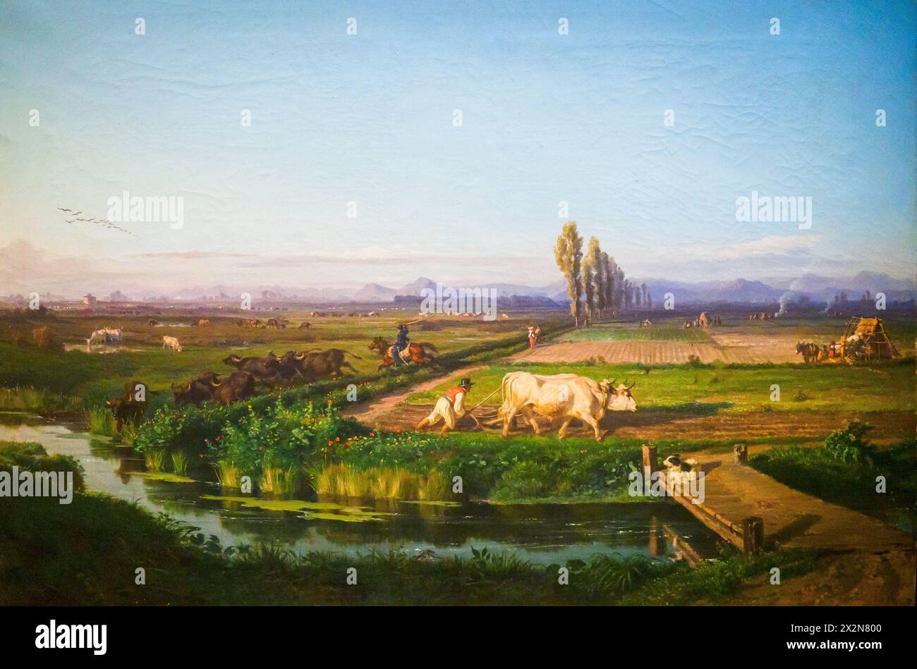 Tenuta reale di Cerditello di Filippo Palizzi (1818-1899), 1851, olio su tela Foto Stock