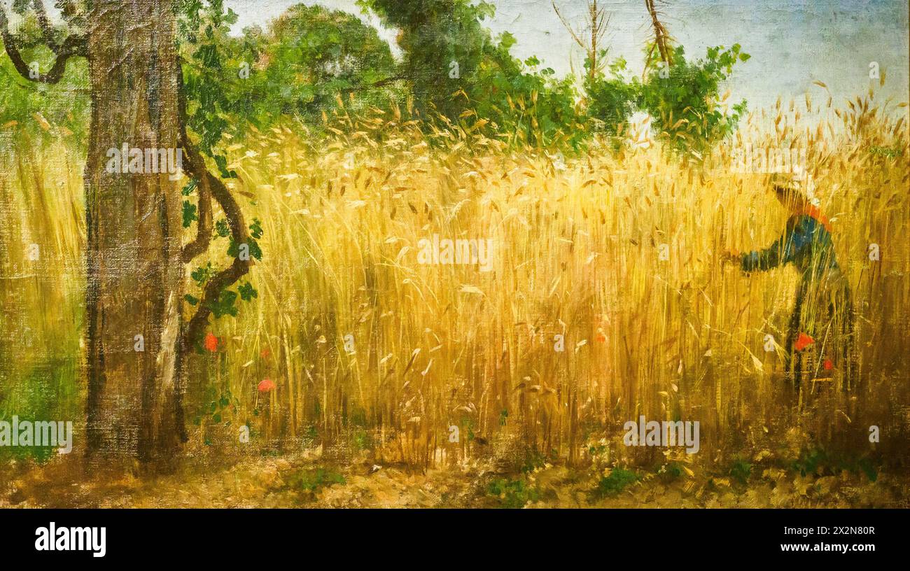 Grano maturo di Filippo Palizzi (1818-1899), olio su tela Foto Stock