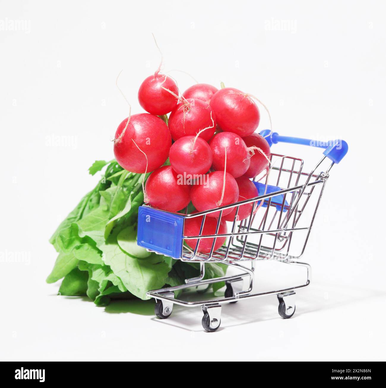 Mazzo di ravanello rosa fresco con foglie nel carrello su sfondo bianco. Foto Stock