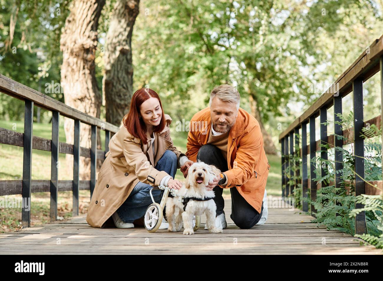 Un uomo e una donna si inginocchiano con due cani in un parco. Foto Stock