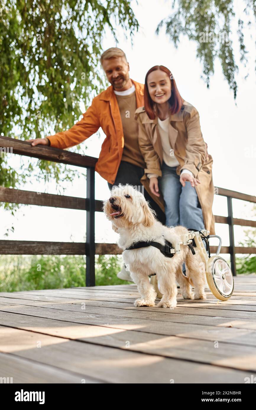 Una coppia adulta in sedia a rotelle che fa una passeggiata nel parco con il proprio cane. Foto Stock