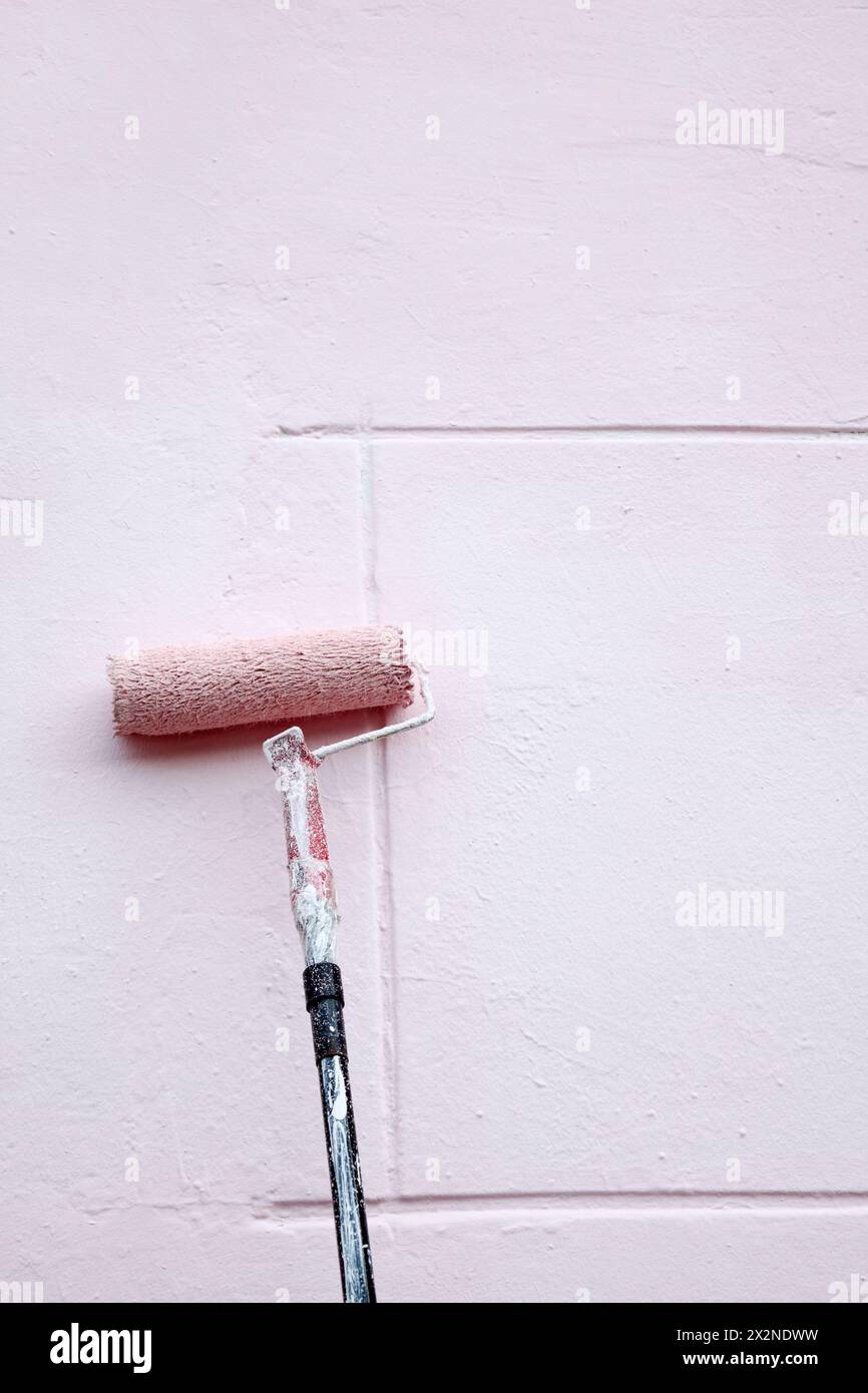 Il rullo con manico lungo dipinge grandi pareti di colore rosa chiaro. Foto Stock