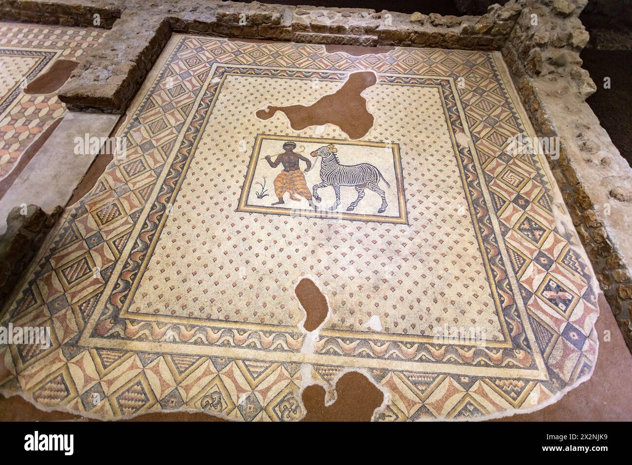 Museo dei mosaici di Haleplibahce, che ospita mosaici di epoca romana, Sanliurfa, Turchia Foto Stock