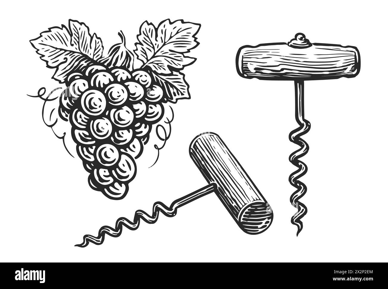 Cavatappi per vino trafilati a mano in stile incisione. Illustrazione vettoriale. Schizzo in stile vintage Illustrazione Vettoriale