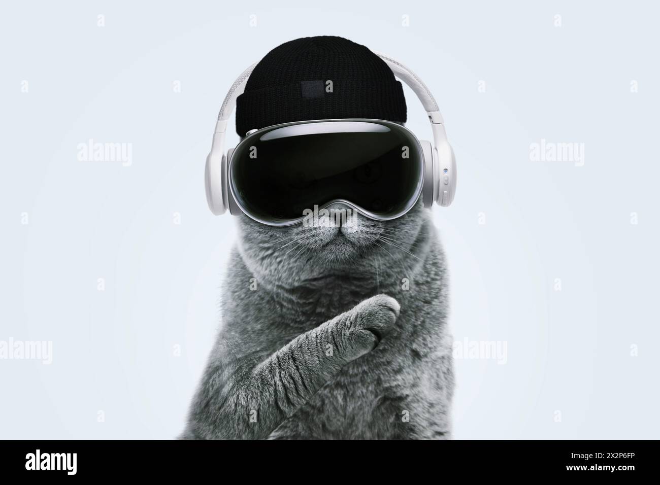 Bellissimo divertente Hipster Cat con occhiali per realtà virtuale, cappelli e supporti per cuffie in maglia e tecnologia rivoluzionaria su Una pasta blu Foto Stock