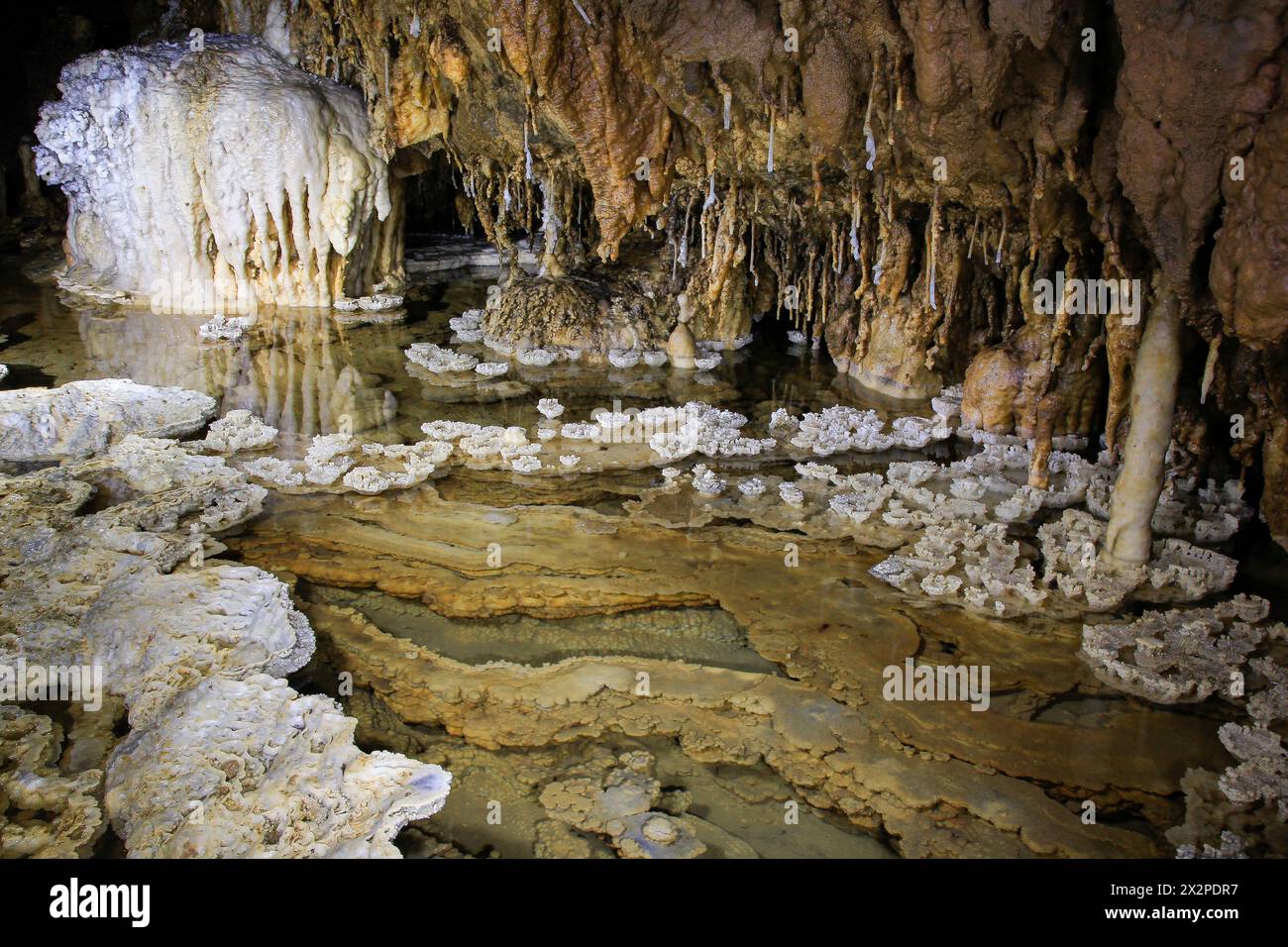 La bellezza dell'ornamento stalagmita della Grotta Gilap nel carsico Gunungsewu. L'area carsica è un luogo per la conservazione dell'acqua. Foto Stock