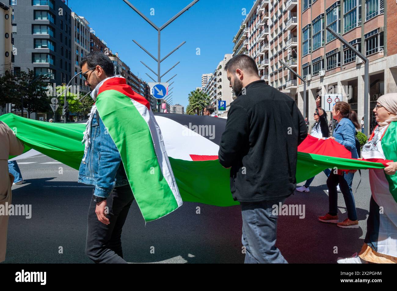 Dimostrazione a sostegno di Gaza e della Palestina a Logroño. Condurre un'azione di boicottaggio contro i supermercati Carrefour, per il loro sostegno a Israele. Foto Stock