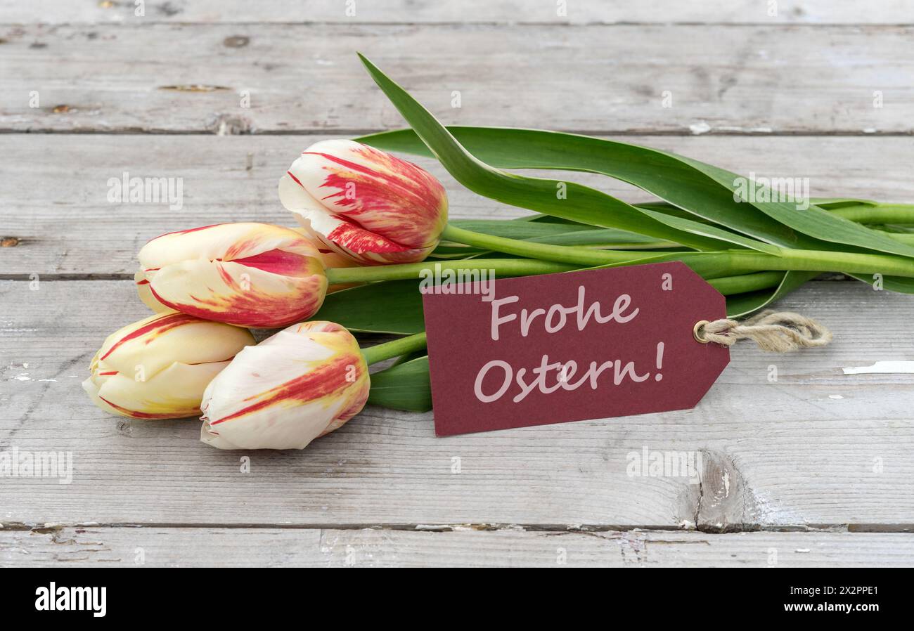 Biglietto d'auguri con tulipani rossi, gialli e bianchi e testo tedesco: Buona Pasqua Foto Stock