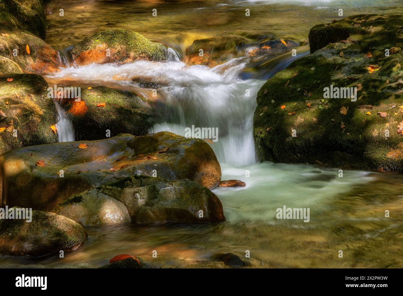 Sezioni del Rocky Fork Creeek nel Lamar Alexander Rocky Fork State Park, parco della Cherokee National Forest nel Tennessee. Foto Stock