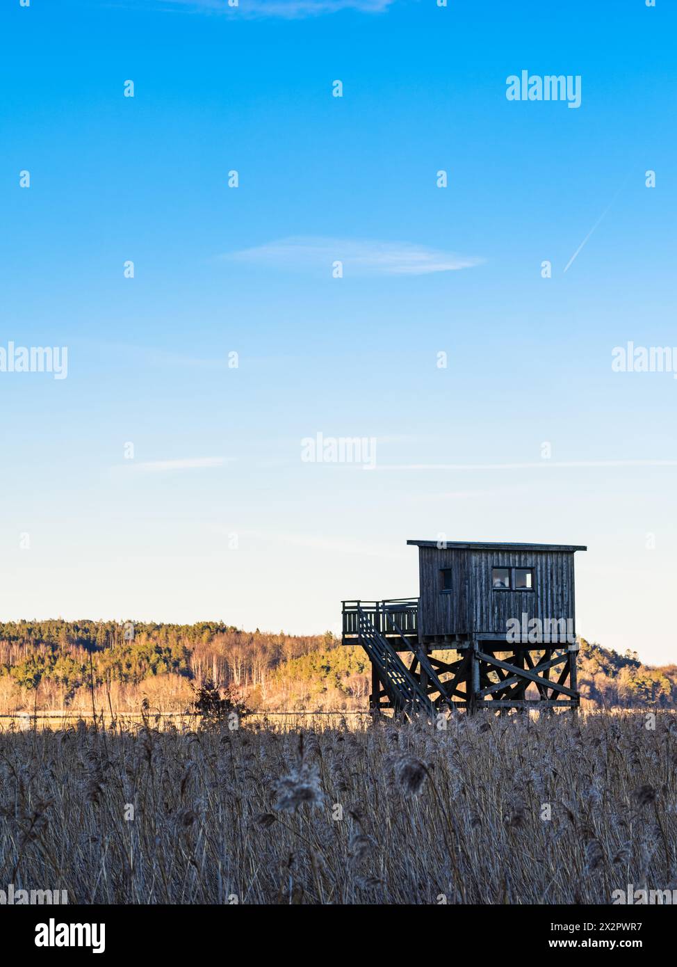 Una piccola struttura in legno sorge al centro di un campo, che funge da torre di osservazione degli uccelli. La torre offre un punto di osservazione privilegiato per il birdwatching Foto Stock