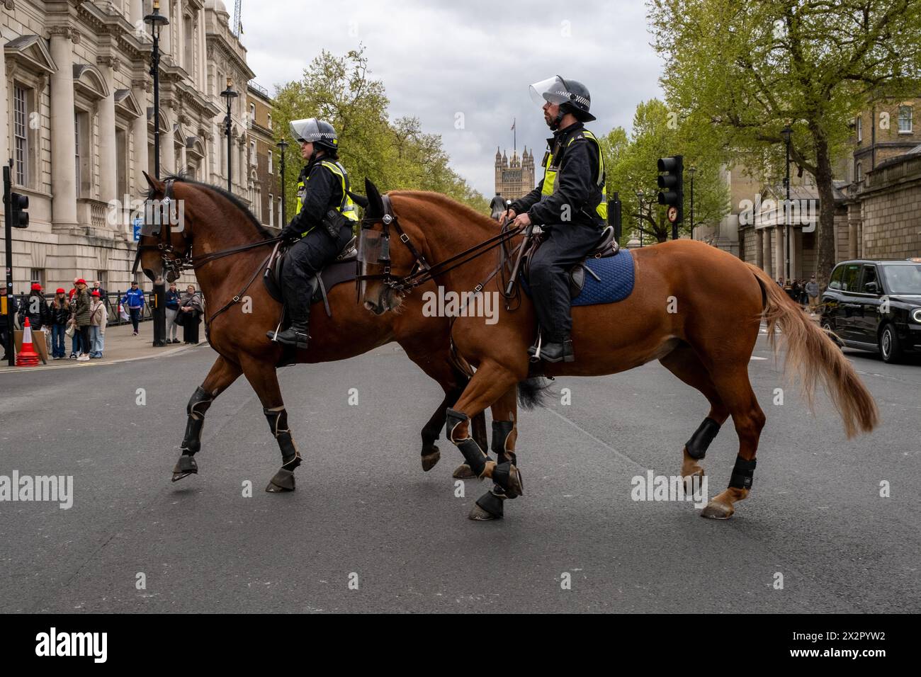 La violenza scoppia in una parata di St Georges Day che si tiene nel centro di Londra. I tifosi di football e i Patriots scendono nel centro di Londra per celebrare il St Georges Day. Foto Stock