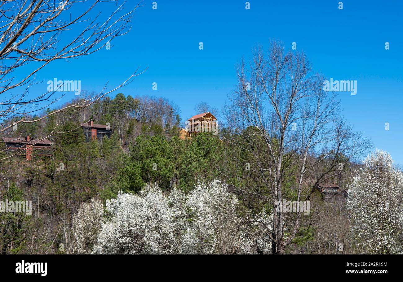 Diverse case sul lato di una collina con alberi boschivi e alberi fioriti, in una splendida giornata primaverile con un cielo azzurro. Foto Stock