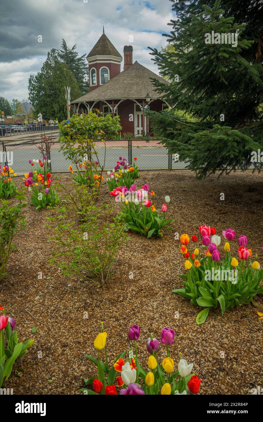 Vista dello storico deposito di Snoqualmie con tulipani nella città di Snoqualmie nello stato di Washington, Stati Uniti. Foto Stock