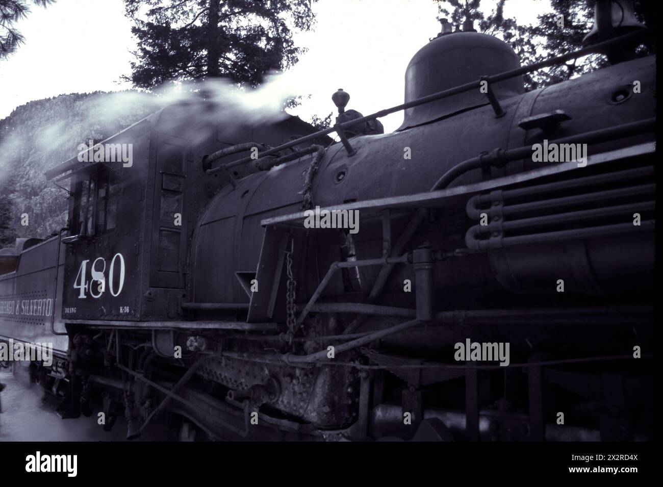 Locomotiva funzionante Durango & Silverton parcheggiata a vapore in una montagna Forest_monochrome. Foto Stock