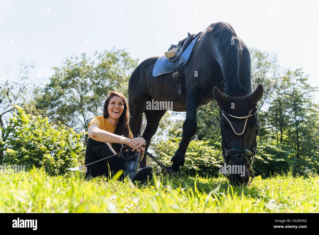 Felice istruttore seduto al pascolo del cavallo nero nelle giornate di sole Foto Stock
