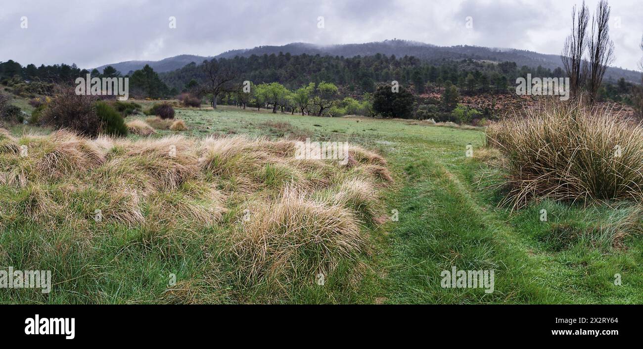 Paesaggio verde nella Sierra del Segura, Bogarra, provincia di Albacete in Spagna Foto Stock