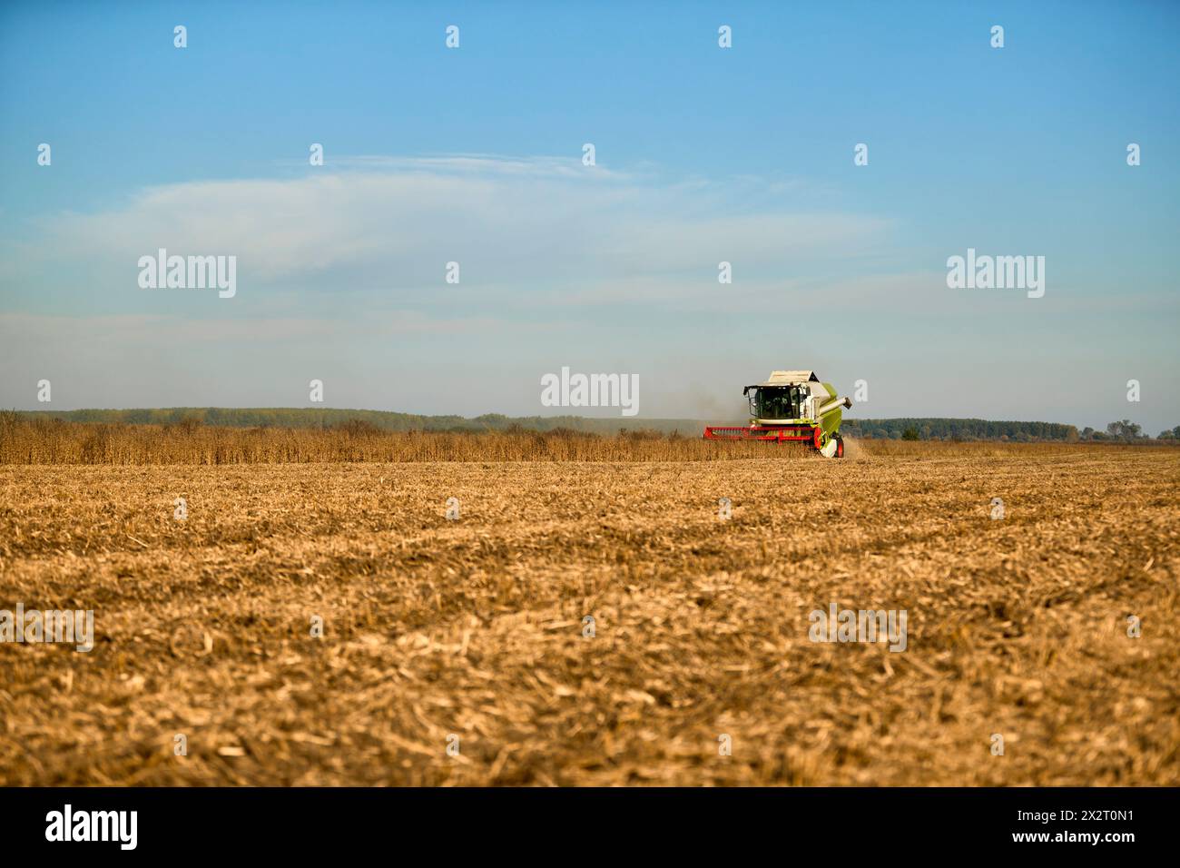 Mietitrebbia per la raccolta di prodotti presso l'azienda Foto Stock