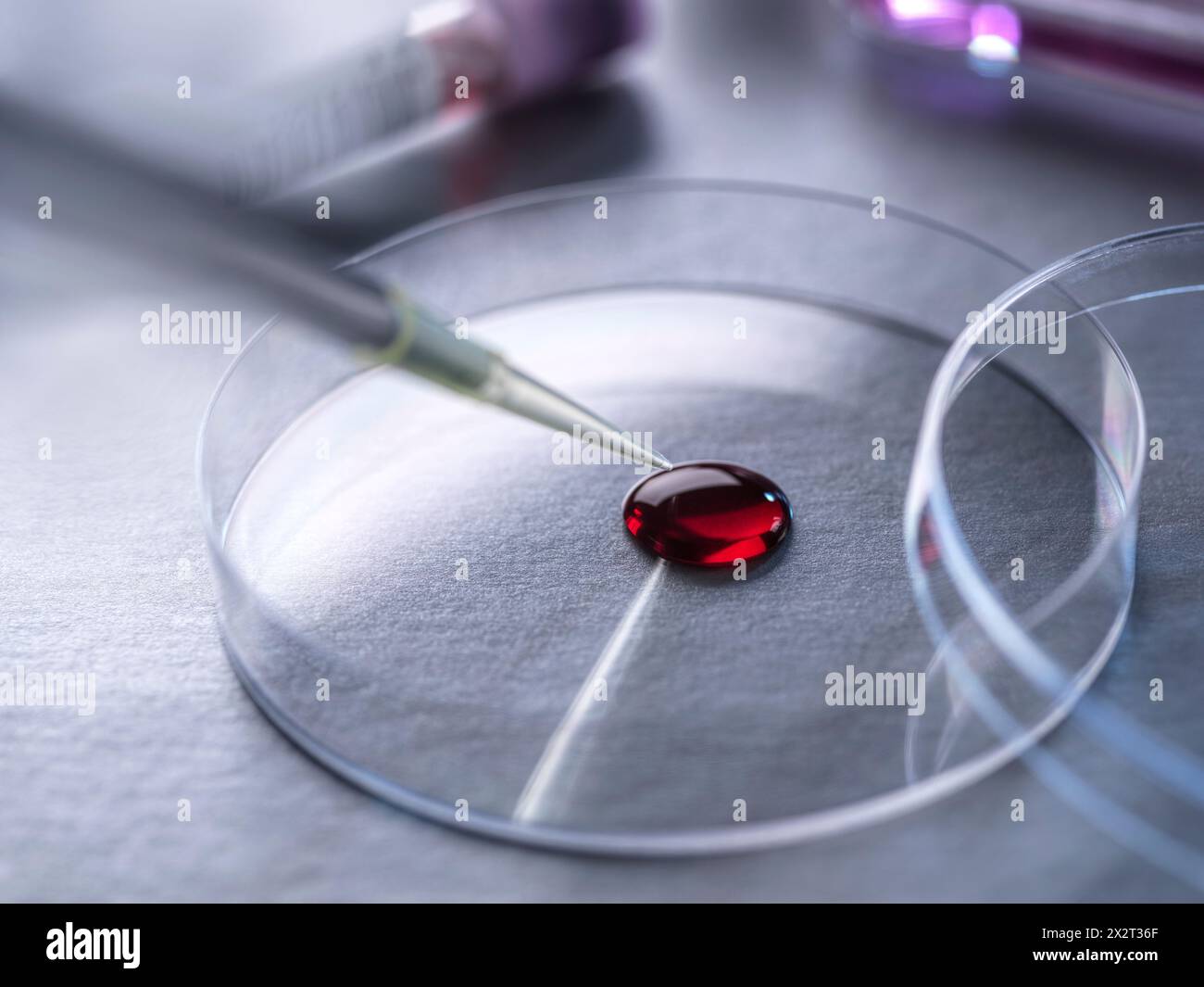 Scienziato che esamina il campione di sangue umano per il test del DNA Foto Stock