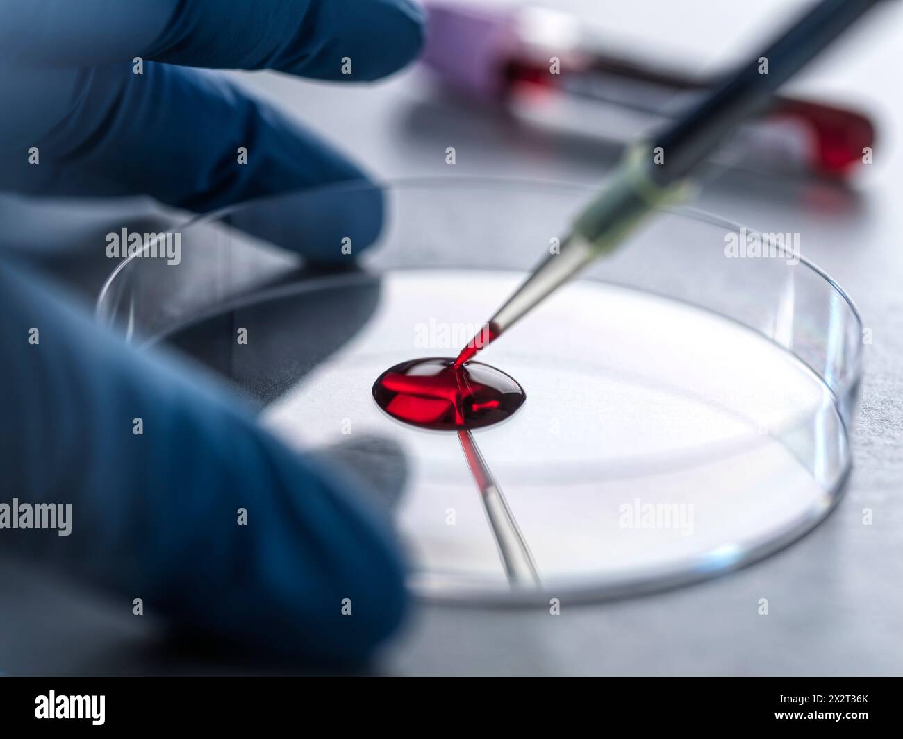 Scienziato che sperimenta il sangue umano in laboratorio Foto Stock
