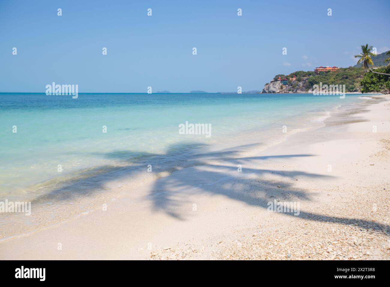 Ombra di palme sulla sabbia in spiaggia Foto Stock