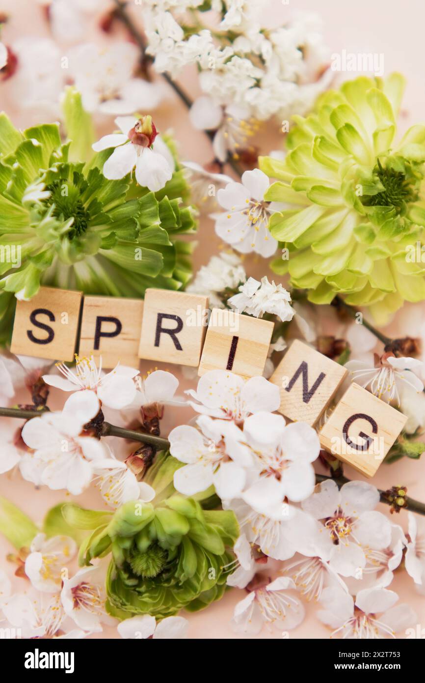 Piastrelle di legno circondate da fiori di albicocca e fiori verdi di ranunculus Foto Stock