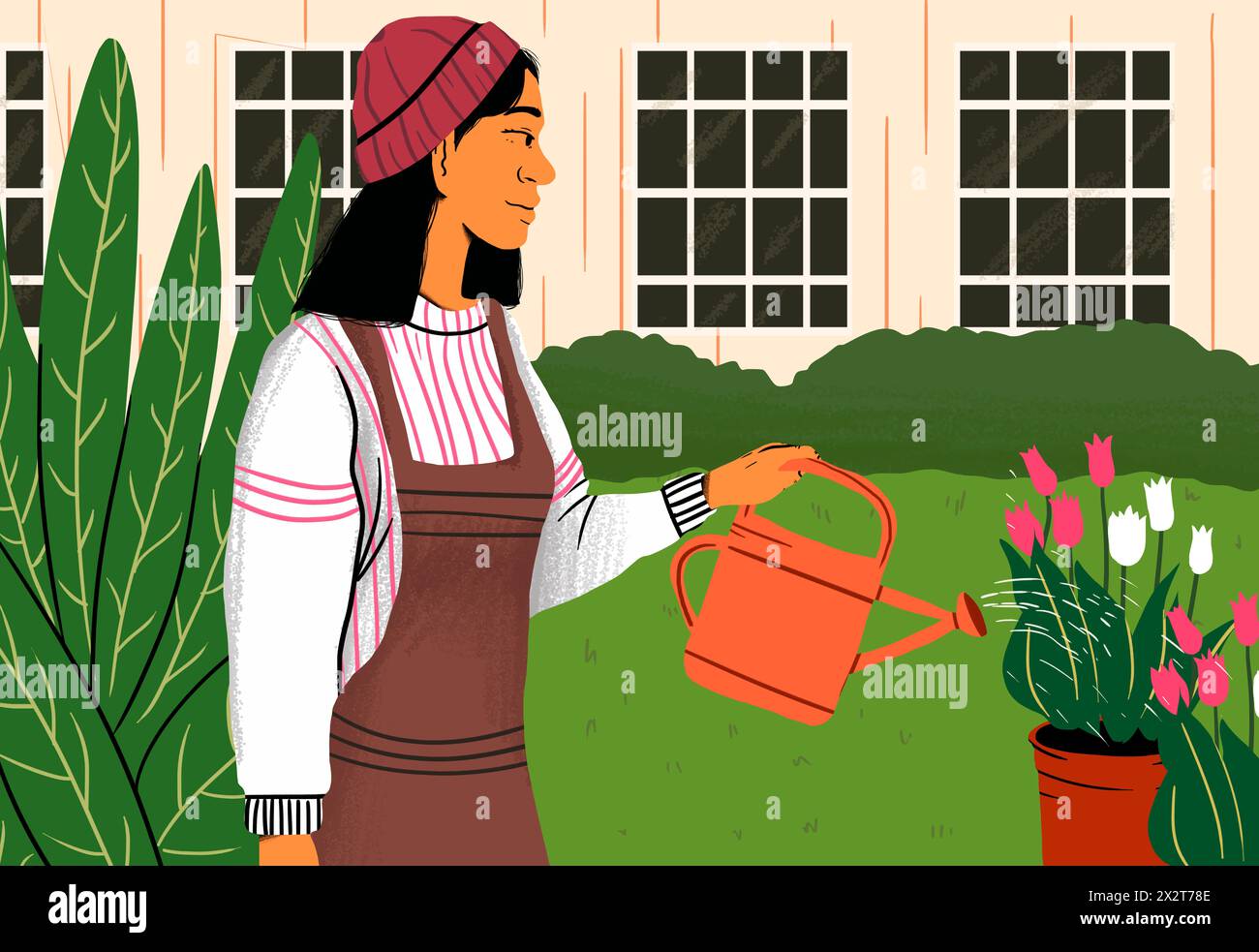 Donna con berretto che innaffia tulipani nel cortile posteriore Foto Stock
