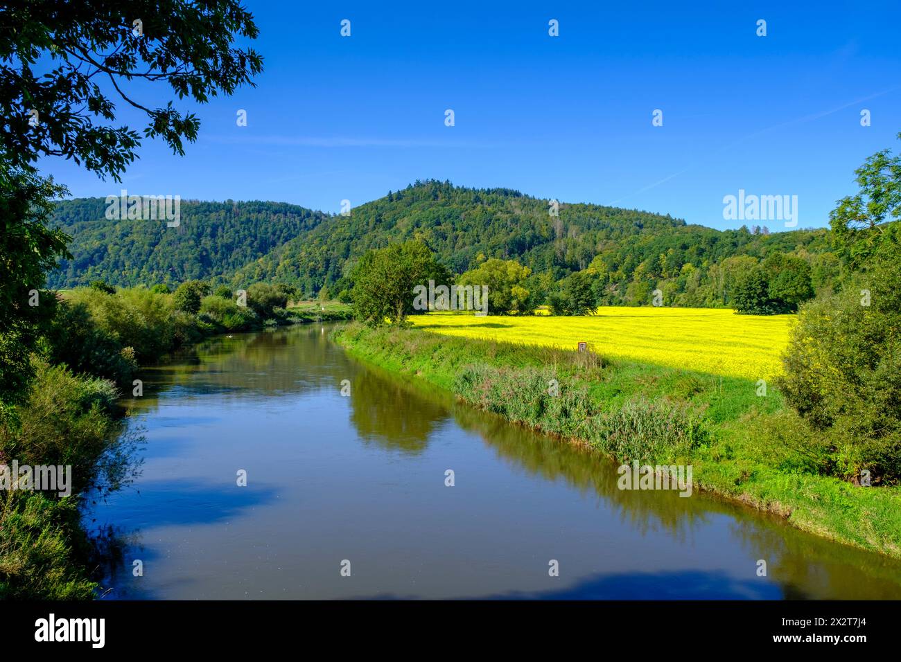 Germania, Assia, Eschwege, Vista sul fiume Werra in estate Foto Stock