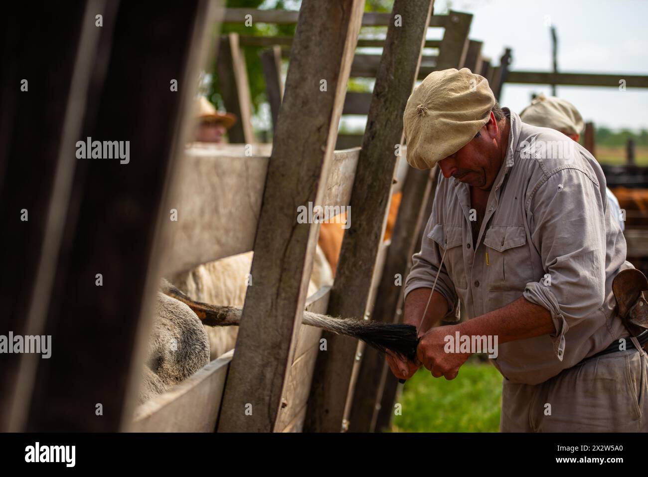 Lavoratori rurali in servizio in un ranch in Argentina. Foto Stock