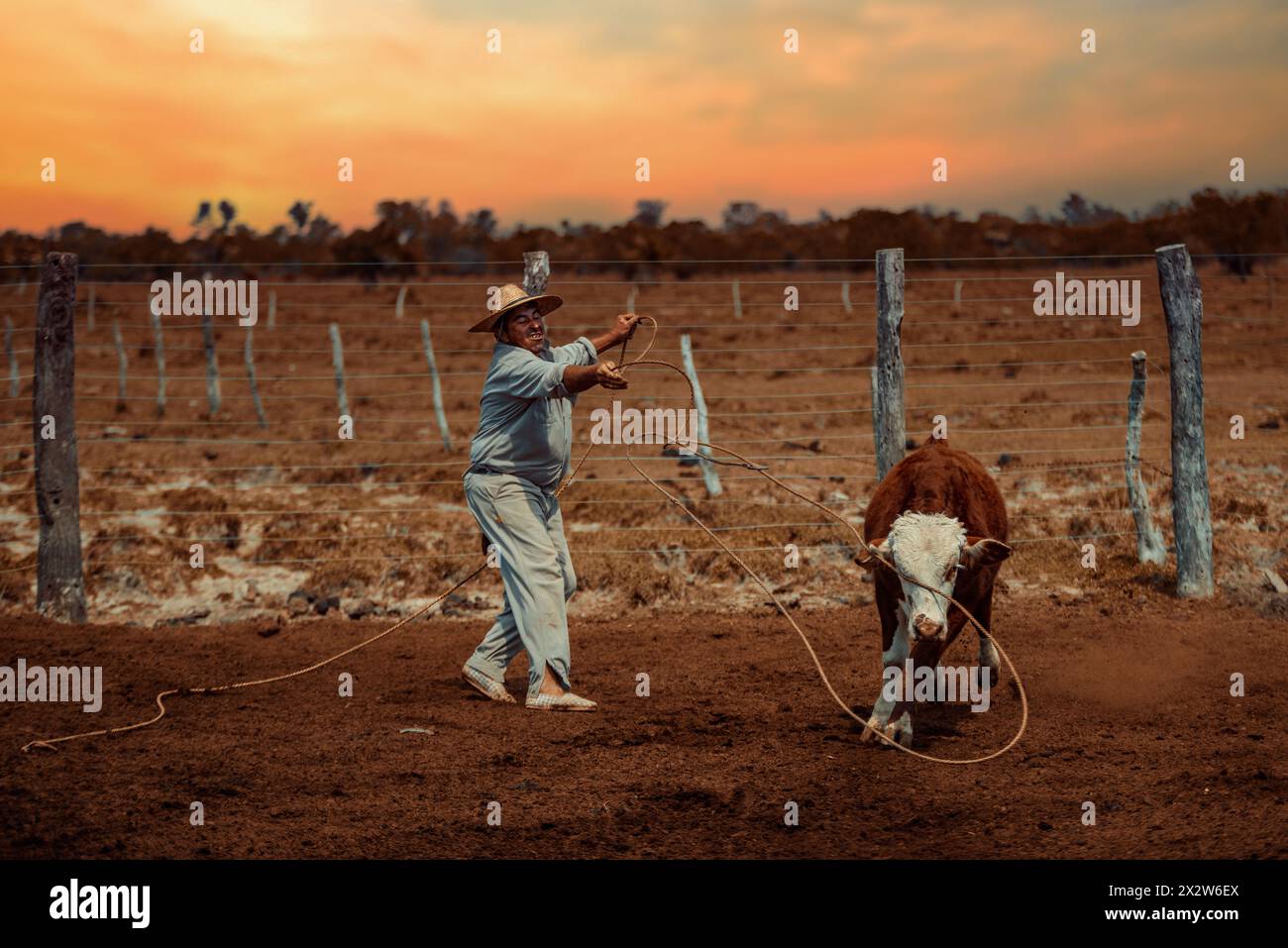 Lavoratore in servizio tra il bestiame durante la stagione di vaccinazione in un ranch in Argentina. Foto Stock
