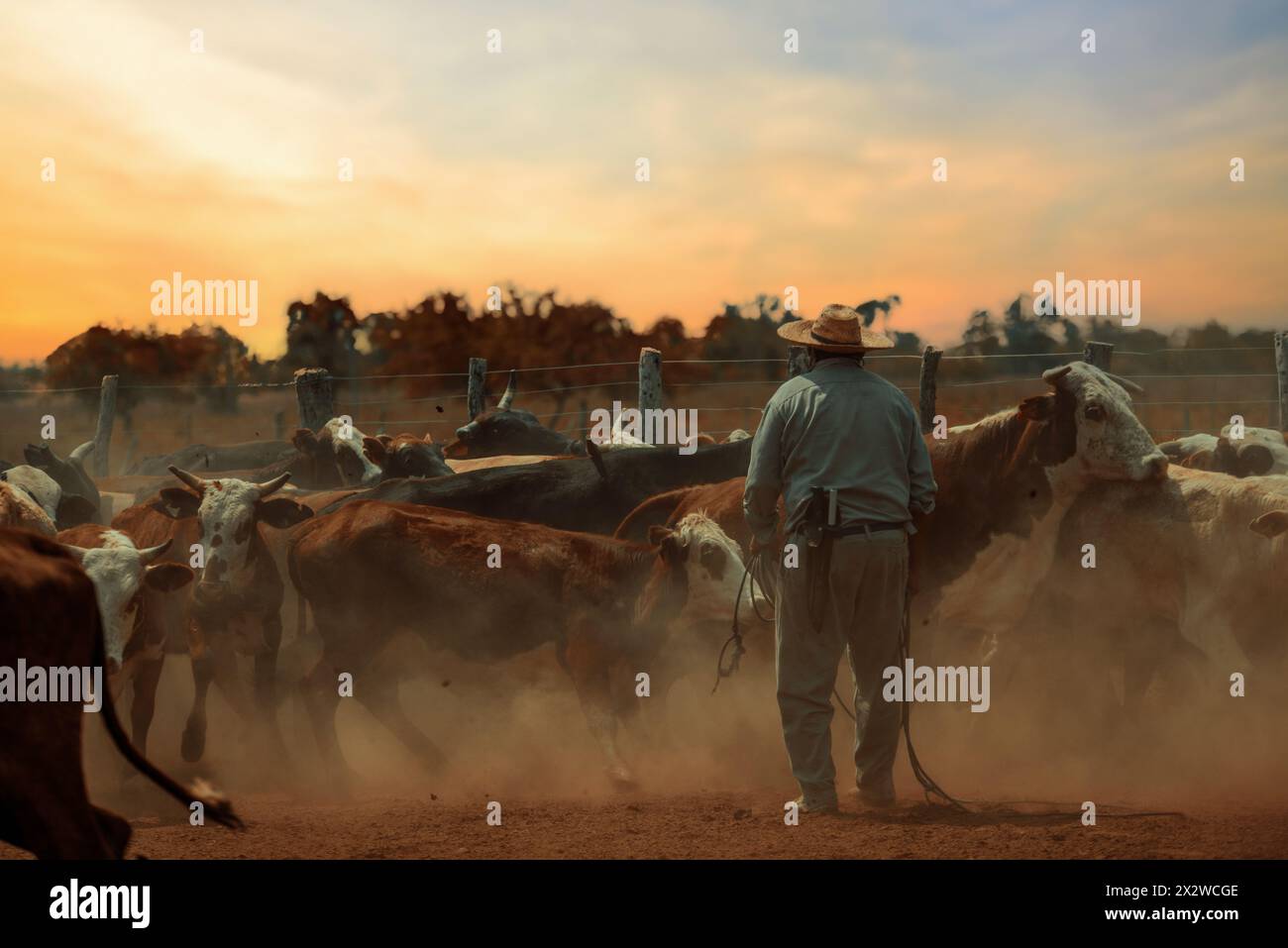 Lavoratore in servizio tra il bestiame durante la stagione di vaccinazione in un ranch in Argentina. Foto Stock