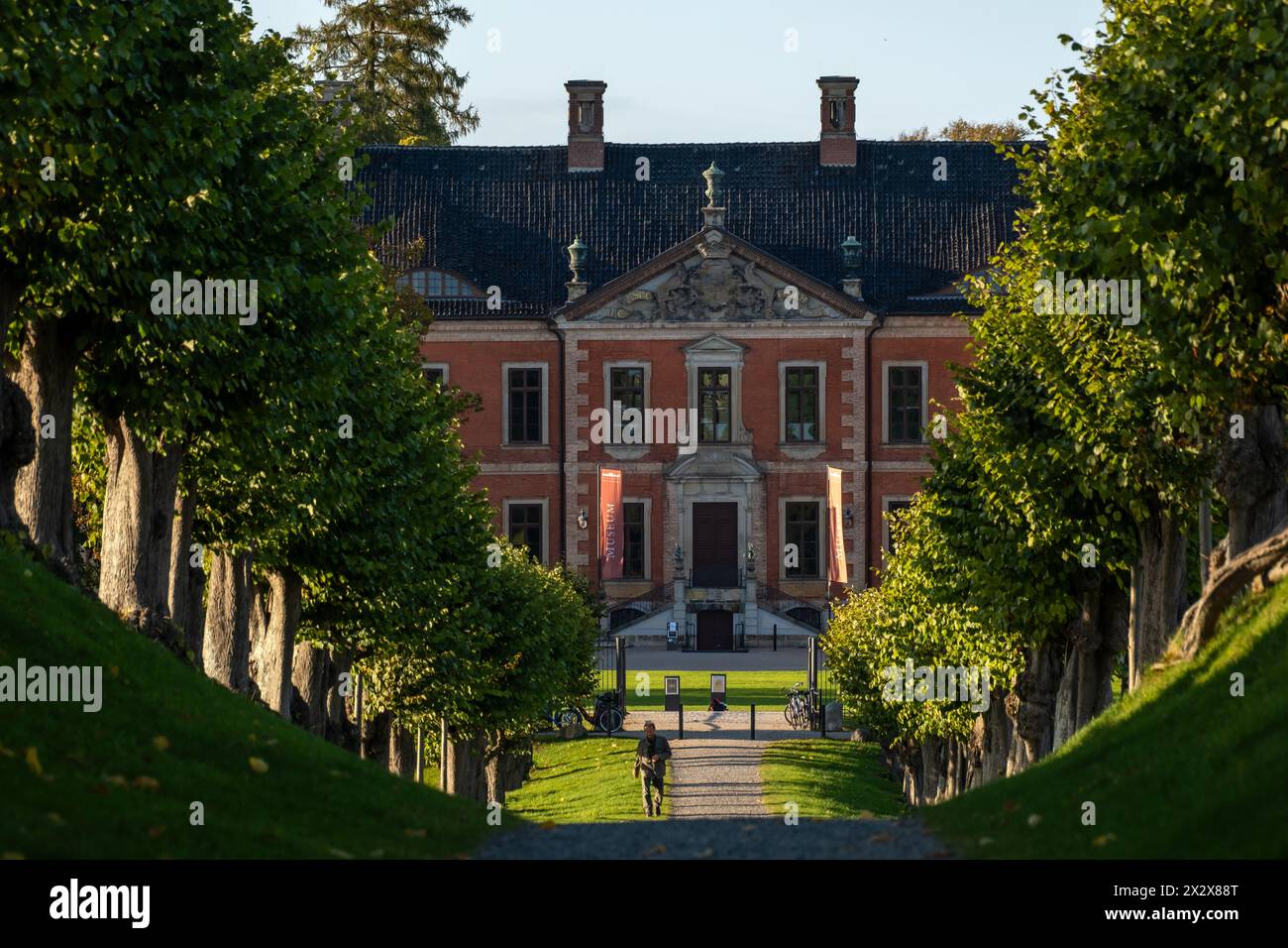 12.10.2022, Kluetz, Meclemburgo-Pomerania Occidentale, Germania - la Festonallee (viale di 69 alberi di tiglio reali olandesi) al Castello di Bothmer, costruito nel 1726 Foto Stock