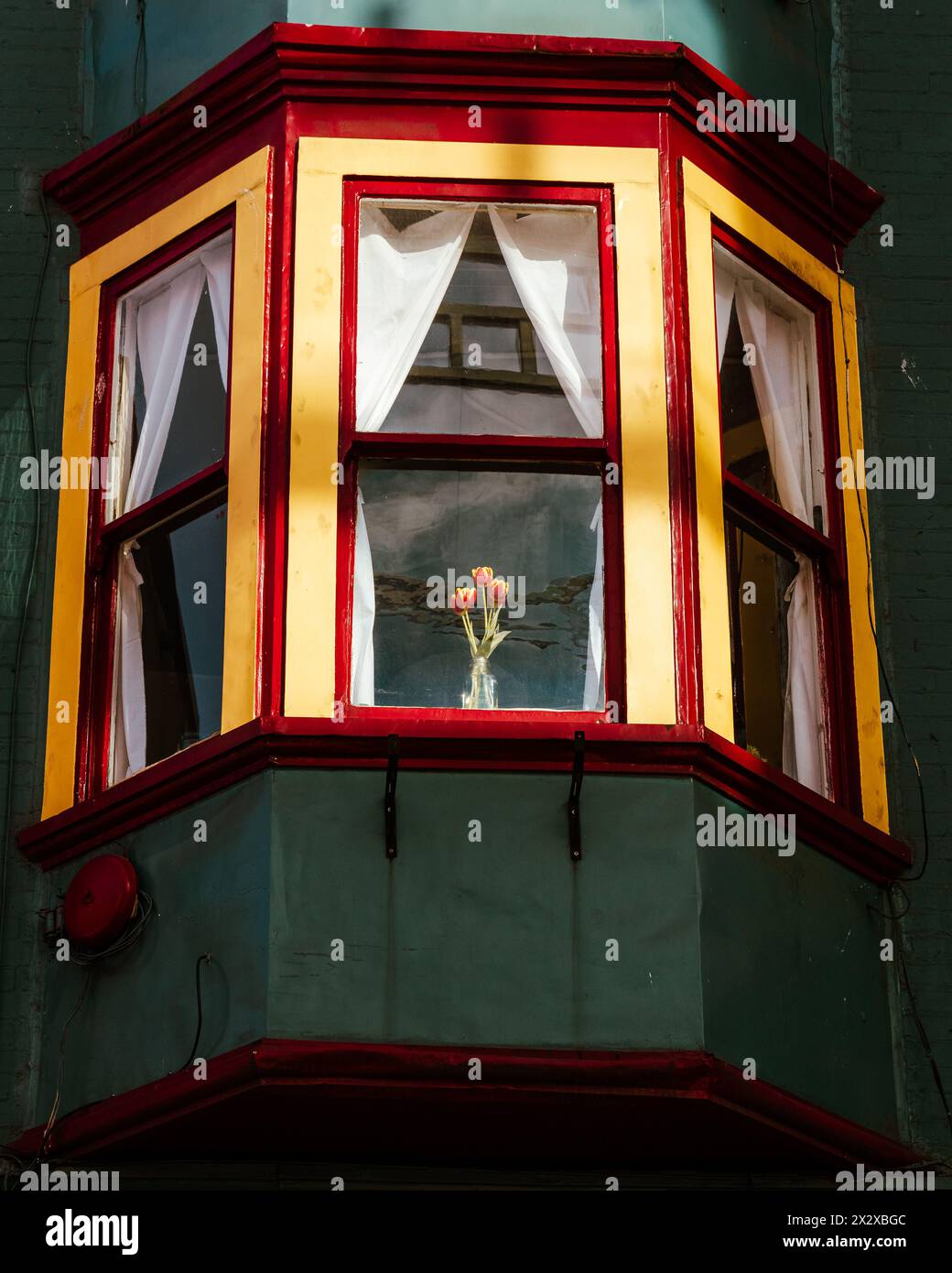 Una foto di alcuni tulipani in un vaso illuminato dal sole del mattino attraverso una finestra della baia di un edificio storico in Shanghai Alley a Chinatown Foto Stock