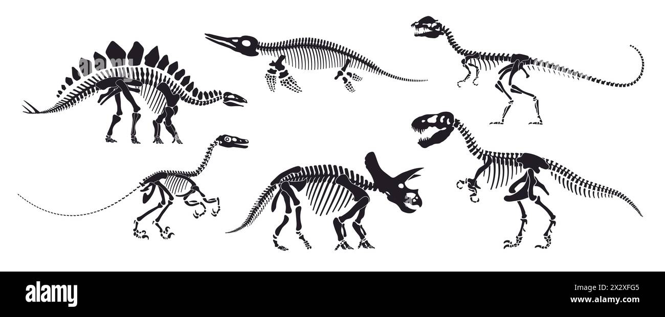 Fossili di scheletro di dinosauro, ossa di dinosauro isolate. Sagome di animali rettili vettoriali. Avaceratops, basilosaurus, stegosaurus, eoraptor, gallimimus, tirannosauro, antichi rettili, resti preistorici Illustrazione Vettoriale