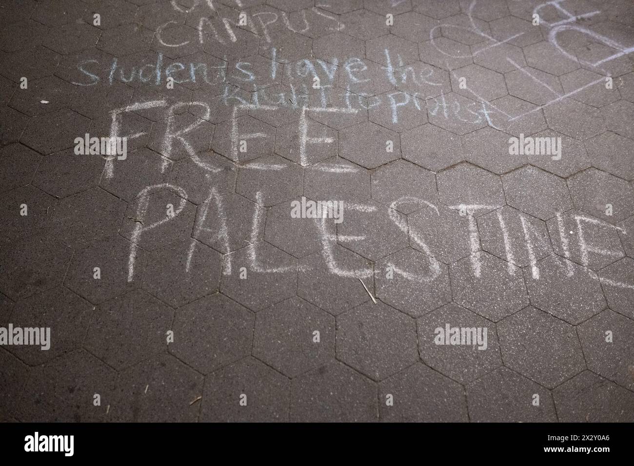 Gesso sul passaggio pedonale a Washington Square Park afferma che "gli studenti hanno il diritto di protestare" e "PALESTINA LIBERA" il giorno dopo che l'accampamento di protesta della NYU è stato ripulito dal vicino polizia di New York. Foto Stock