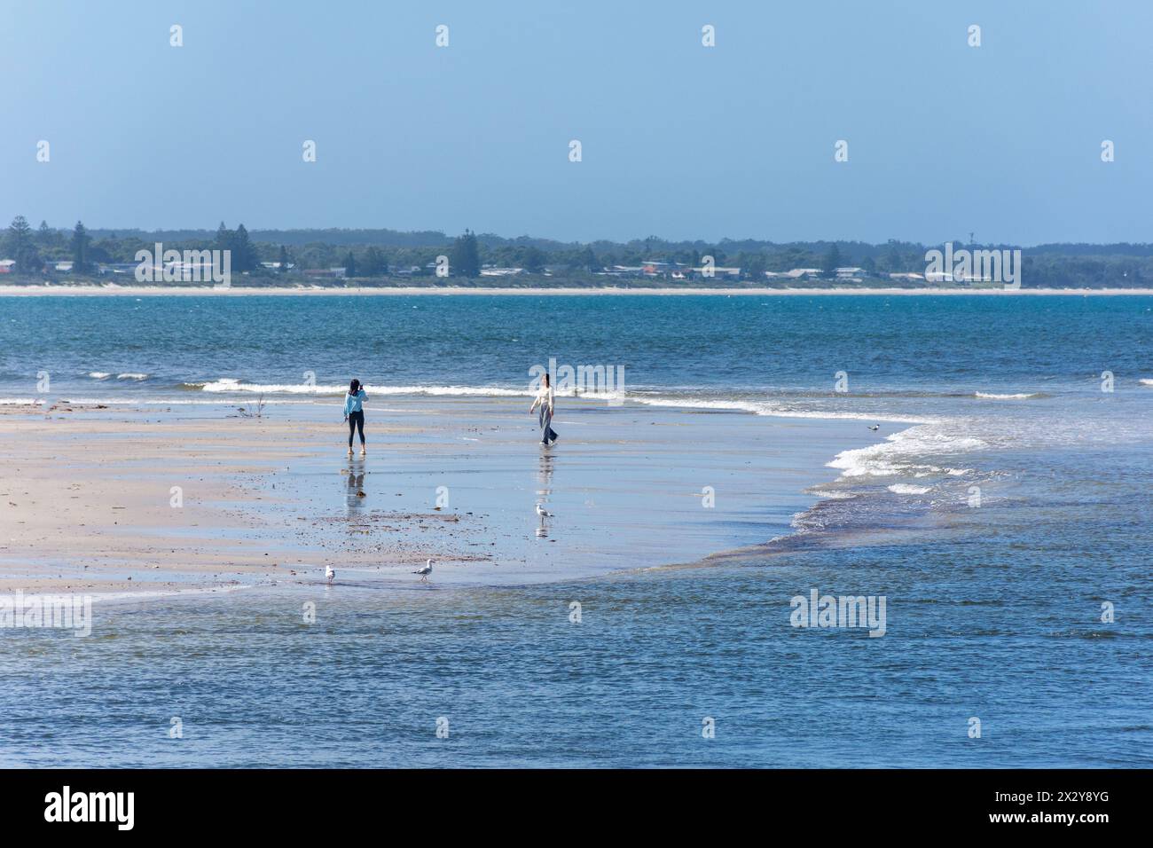 Callala Beach attraverso Currambene Creek, Huskisson, Jervis Bay Marine Park, New South Wales, Australia Foto Stock