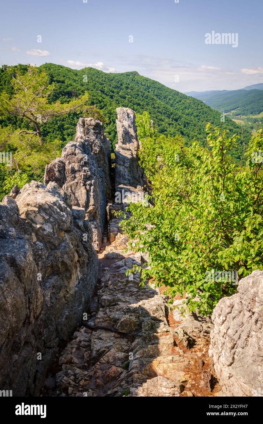 The Seneca Rocks, Rock Climbing Destination Spruce Knob-Seneca Rocks National Recreation area, Park a Riverton, West Virginia, USA Foto Stock