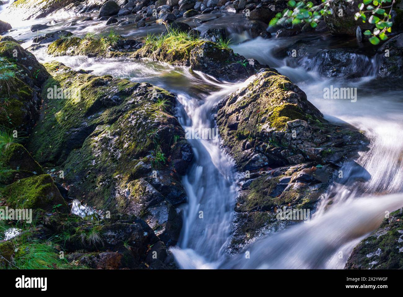 Vista di un torrente con acqua galleggiante attraverso la natura Foto Stock
