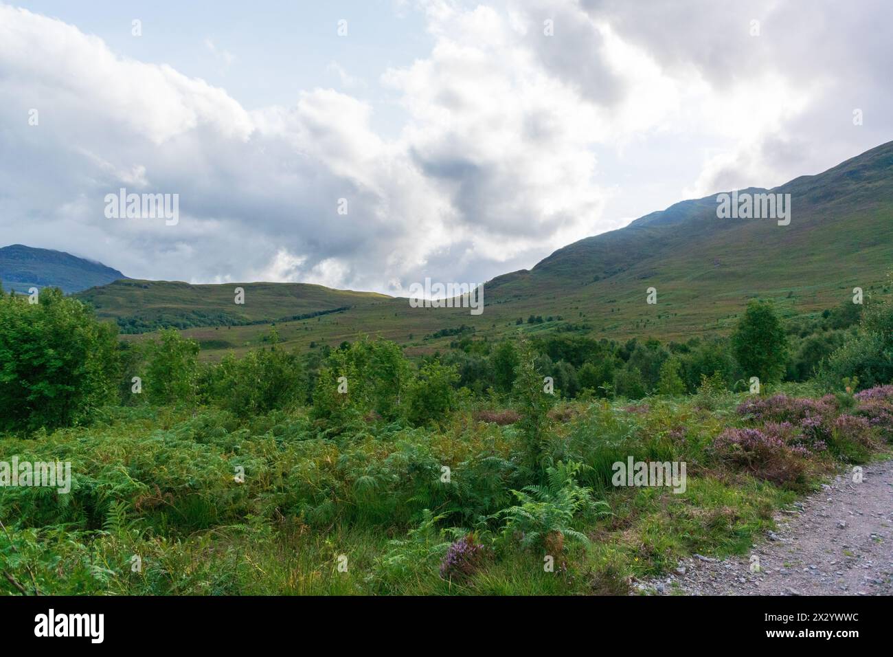 Vista della natura nelle montagne degli altopiani Foto Stock