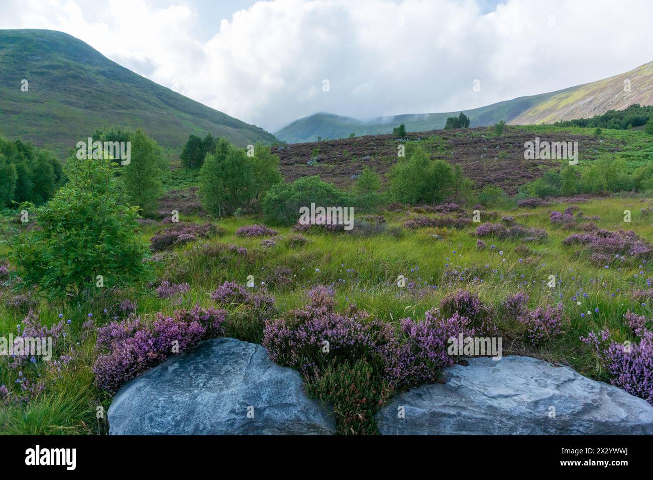 Vista della natura nelle montagne degli altopiani Foto Stock