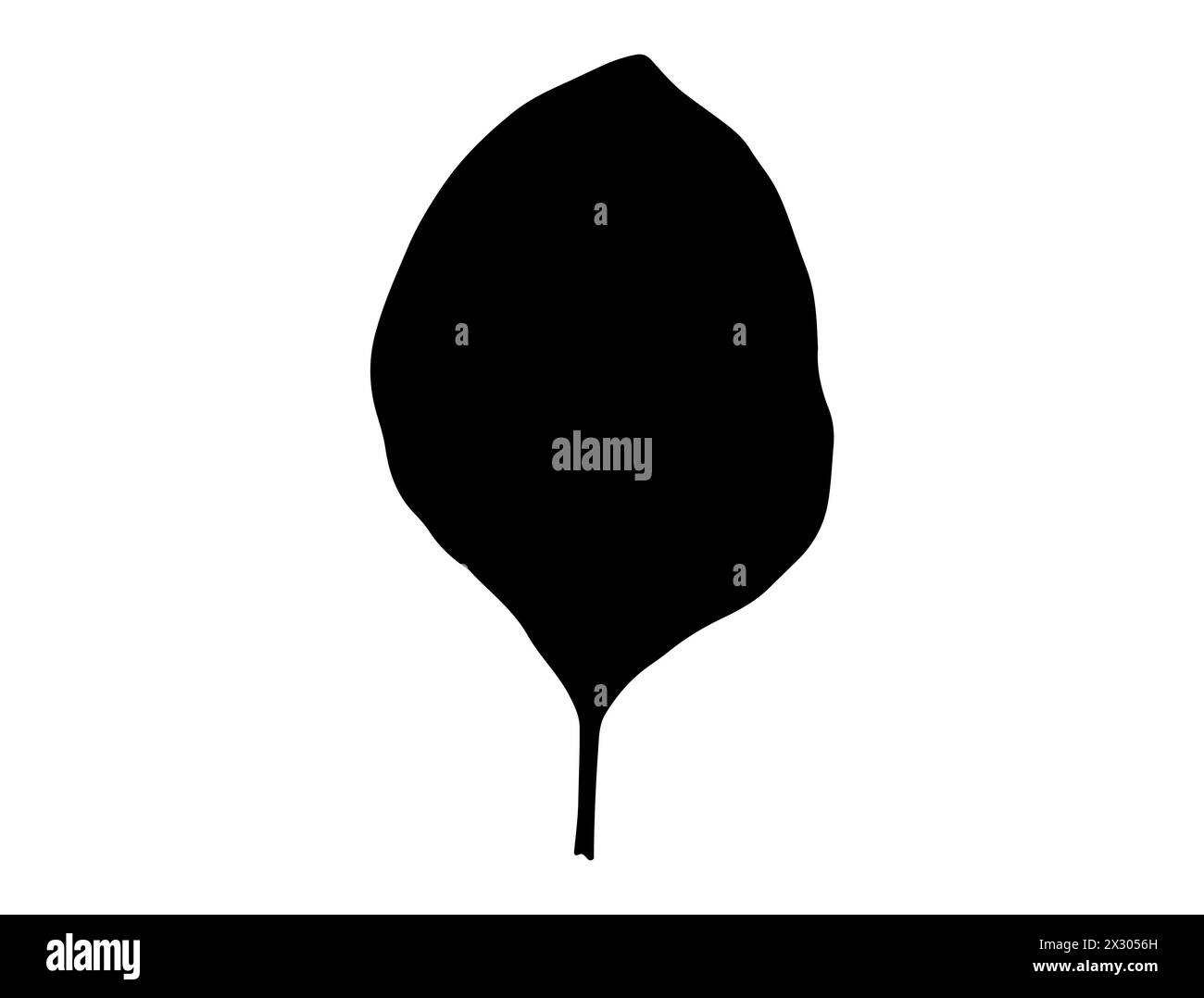 Grafica vettoriale della silhouette delle foglie di spinaci Illustrazione Vettoriale